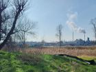 Marshland near the Karlsruhe wastewater treatment plant that is required by the government to be fenced off and maintained to protect local amphibians