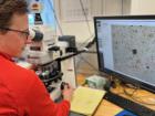 Walter observing a close-up of a sediment sample under the microscope