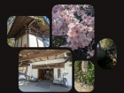 A collection of photos from the week!