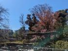 Sunny day in Tokyo! 
