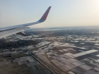 The flight back to the States