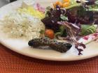 Would you taste a mopane worm for dinner? 