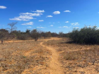 Botswana has lots of sandy walking paths