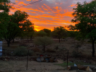 The beautiful sunset in my backyard!