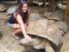 Laura with a giant turtle