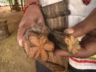 Medicinal plants are very important