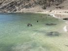 Beaches here also have tons of wildlife