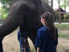 At an elephant refuge in Thailand