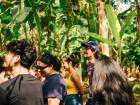 Exploring Jose Moore's agroforestry farm in Hone Creek; He primary grows cacao, but we also tasted a bunch of other fruits on the farm