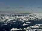 Le Commandant Charcot can sail right through the sea ice - a delight for guests!
