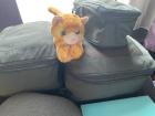 Chris: Look what we found, a stowaway! I guess we have a ship’s cat to keep us company on our travels. But we are going to need your help to name them!