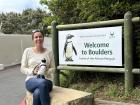 Visiting Boulder Beach, home of the critically endangered African penguin