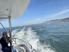 Boat ride to see whales up close