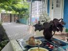 Eating zeamă outdoors which is very common during times of good weather