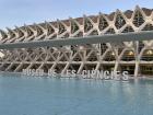 The Museum of the Sciences is an amazing museum that both tourists and locals love