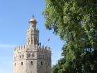 "El Torre Del Oro" (The Tower of Gold) is one of the most popular monuments in Seville, although it is not made of pure gold, sadly!