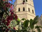 El Torre de la Plata is a lesser known tower in Seville that I discovered with my class this week
