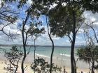 Trees obscuring a stunning beach view