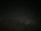 The stars from New Zealand!