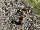 Some super-cool sea glass I found at the beach