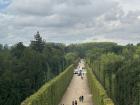 A view of the gardens at Versailles 