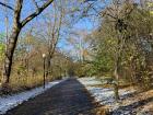 A walking path surrounded by the first snow of the season