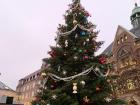 A decorated Christmas Tree in the town square