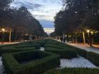 Evening in El Retiro Park 