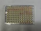 This is the Griess assay, which was used as an indirect measure of nitric oxide in the media surrounding the spheroids