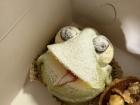 This bakery put a spin on princess cake by shaping it into a frog.