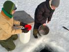 My friends and I go ice fishing in Kiruna, Sweden, a city even farther north than Umeå.