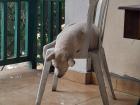 Boy, is he tired!