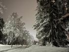 Snow in Finland!