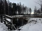 Walking trail with lake