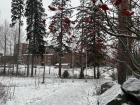 Walking trail I use for my runs