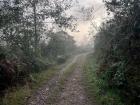 On a run early in the morning, Amazonas, Peru
