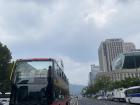 The view from a crosswalk
