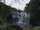 This is Shifen Waterfall also known as the Niagara Falls of Taiwan. It was a short and beautiful hike to see this amazing view. There are countless waterfalls in Taiwan but this one might be my favorite