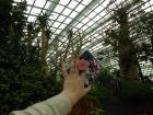 Something important to know about me is that I LOVE to read!! I bring my Kindle everywhere I go. I enjoyed taking a break to read and take in the scenery of the Flower Dome on my first day.