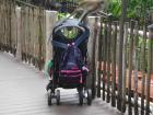 There are wild macaque monkeys that call the Singapore Zoo home. They wander around and try to steal things from tourists when their backs are turned!