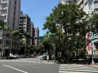 Taipei is a beautiful city but it is especially gorgeous when the sun is shining bright! 