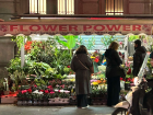Local flower market popup
