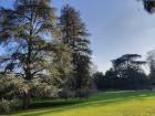 Some of the trees at Parc du Thabor