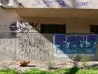 Graffiti in Novi Sad