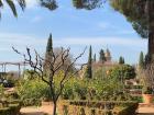 Can you spot the cypress trees in these gardens?