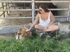We got to spend so much time with animals on the farm. Jolie bonded with this calf!!