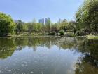 A popular park in Seoul