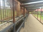 Our hallways are outside