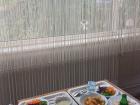 Here is another picture from lunchtime