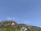 Here's a village in Trabzon, which is one of the cities that produces tea.